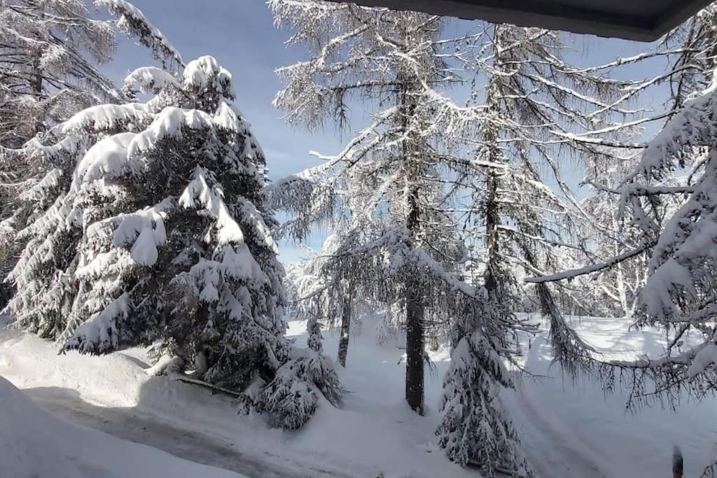 Apartamento Trento, Monte Bondone, Casa Tipica Di Montagna Norge Exterior foto
