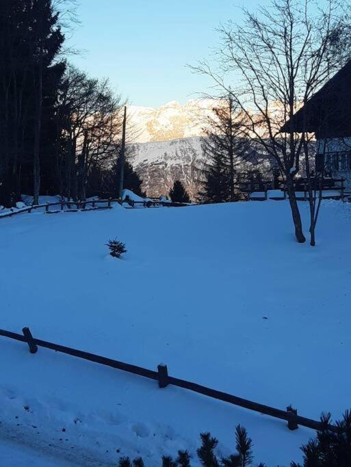 Apartamento Trento, Monte Bondone, Casa Tipica Di Montagna Norge Exterior foto